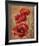 Poppy Passion II-Elaine Vollherbst-Lane-Framed Art Print