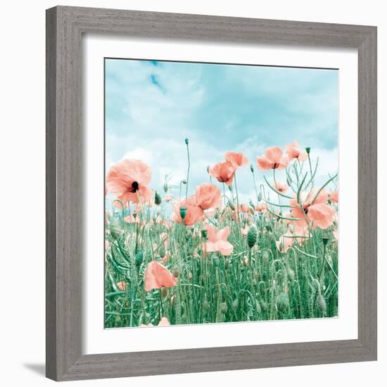 Poppy Pasture-Joseph Eta-Framed Giclee Print