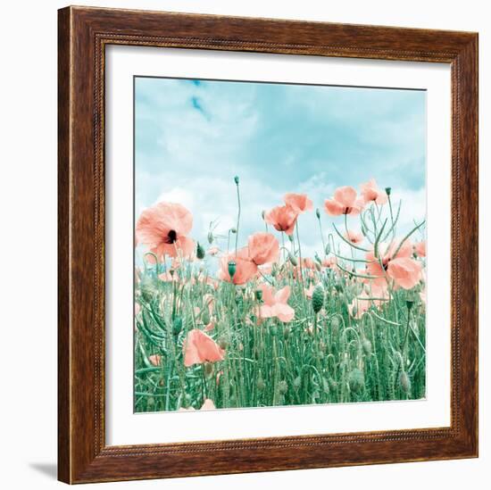 Poppy Pasture-Joseph Eta-Framed Giclee Print