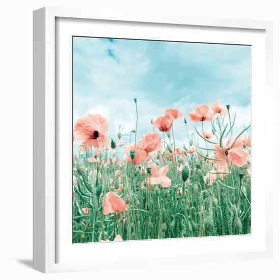 Poppy Pasture-Joseph Eta-Framed Giclee Print