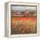 Poppy Pastures I-TC Chiu-Framed Stretched Canvas