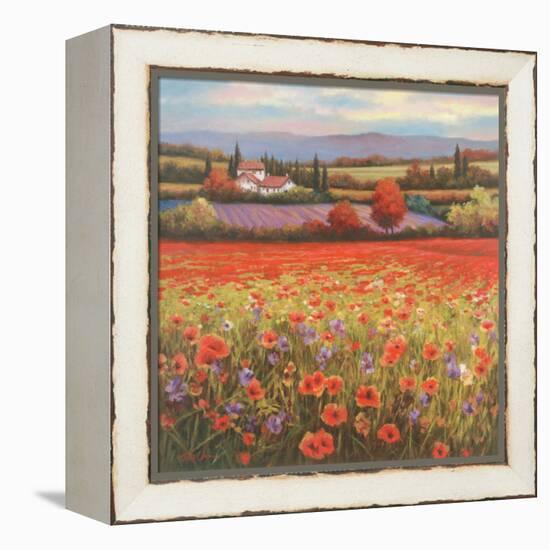 Poppy Pastures I-TC Chiu-Framed Stretched Canvas