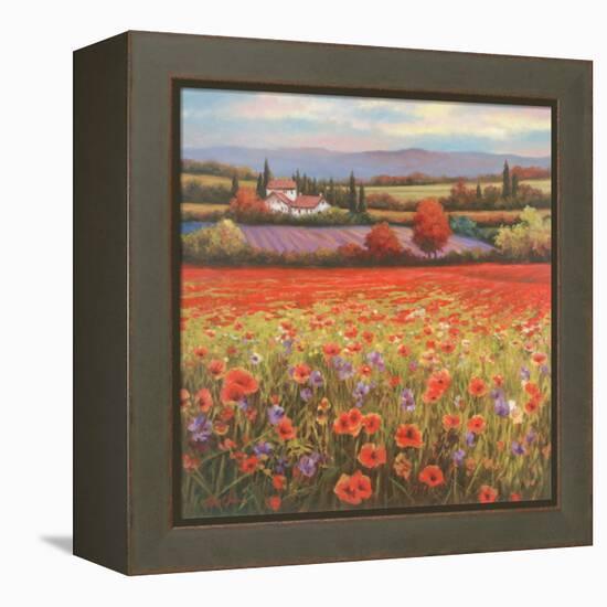 Poppy Pastures I-TC Chiu-Framed Stretched Canvas