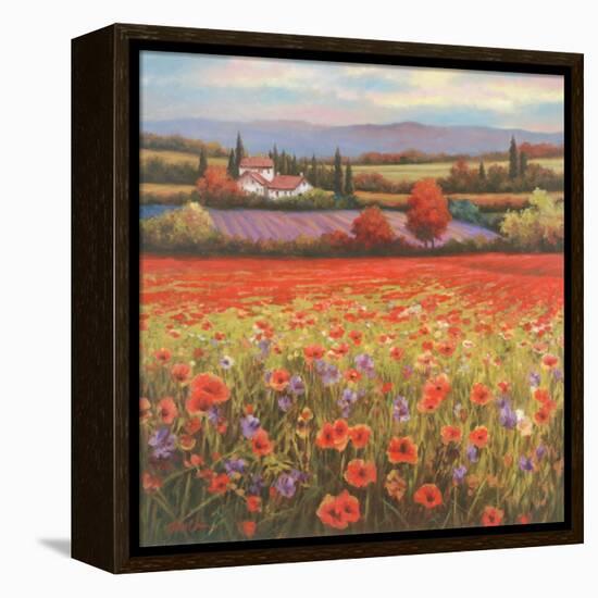 Poppy Pastures I-TC Chiu-Framed Stretched Canvas