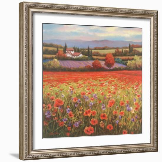 Poppy Pastures I-TC Chiu-Framed Art Print