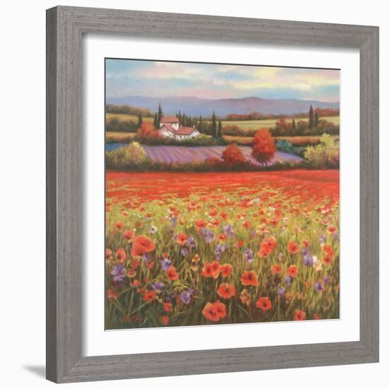 Poppy Pastures I-TC Chiu-Framed Art Print