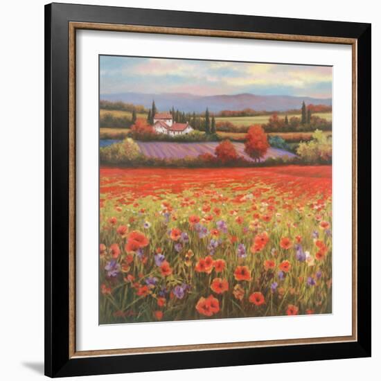 Poppy Pastures I-TC Chiu-Framed Art Print