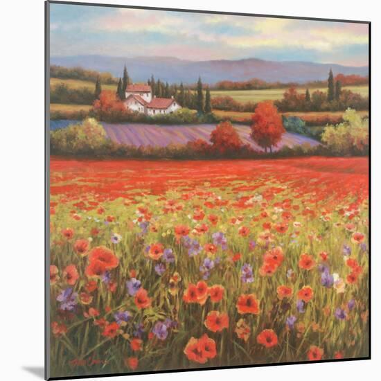 Poppy Pastures I-TC Chiu-Mounted Art Print