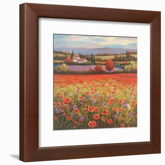 Poppy Pastures I-TC Chiu-Framed Art Print