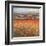 Poppy Pastures I-TC Chiu-Framed Art Print