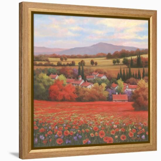 Poppy Pastures II-TC Chiu-Framed Stretched Canvas