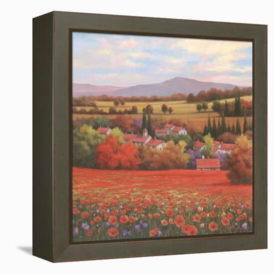 Poppy Pastures II-TC Chiu-Framed Stretched Canvas