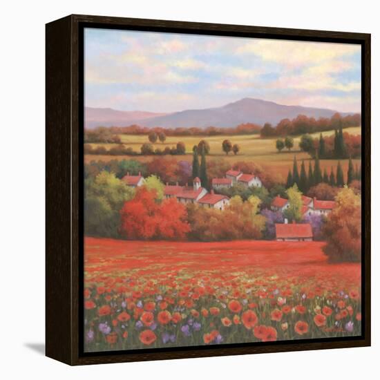 Poppy Pastures II-TC Chiu-Framed Stretched Canvas