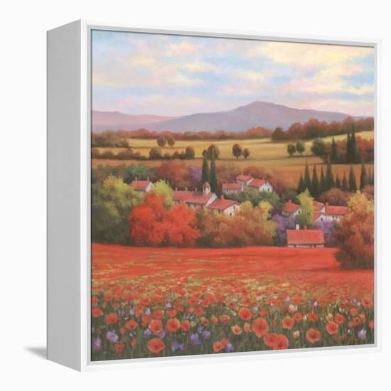 Poppy Pastures II-TC Chiu-Framed Stretched Canvas