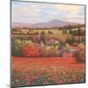 Poppy Pastures II-TC Chiu-Mounted Art Print