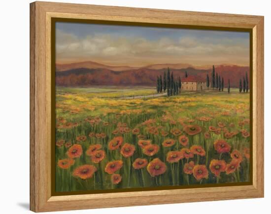 Poppy Path to Home I-Julie Joy-Framed Stretched Canvas