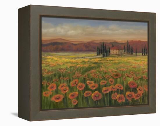 Poppy Path to Home I-Julie Joy-Framed Stretched Canvas