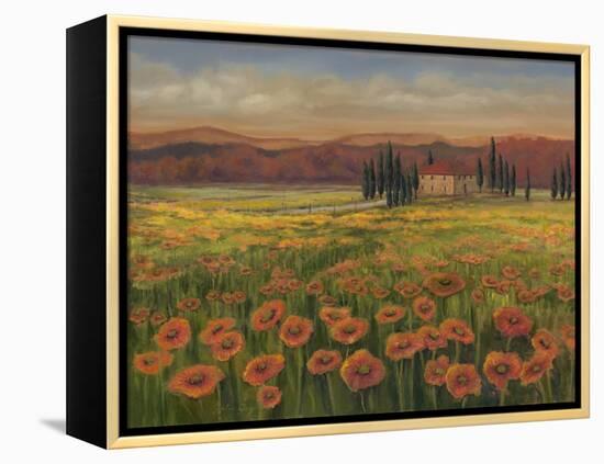 Poppy Path to Home I-Julie Joy-Framed Stretched Canvas