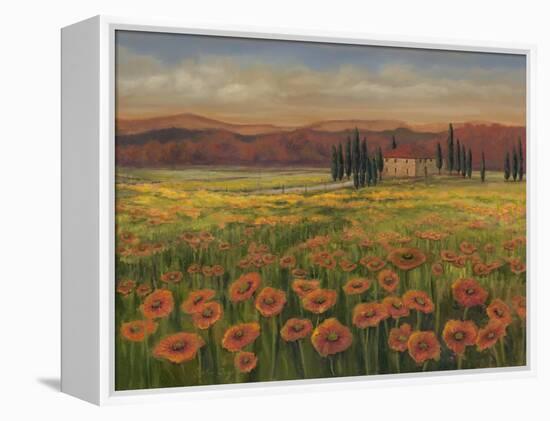 Poppy Path to Home I-Julie Joy-Framed Stretched Canvas