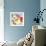 Poppy Patterns II-Shirley Novak-Framed Art Print displayed on a wall