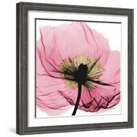 Poppy Pink-Albert Koetsier-Framed Art Print
