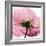 Poppy Pink-Albert Koetsier-Framed Art Print