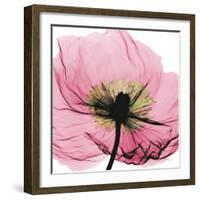 Poppy Pink-Albert Koetsier-Framed Art Print