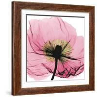 Poppy Pink-Albert Koetsier-Framed Art Print