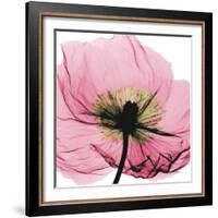 Poppy Pink-Albert Koetsier-Framed Art Print