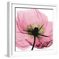 Poppy Pink-Albert Koetsier-Framed Art Print