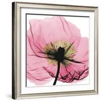 Poppy Pink-Albert Koetsier-Framed Art Print