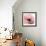 Poppy Pink-Albert Koetsier-Framed Art Print displayed on a wall