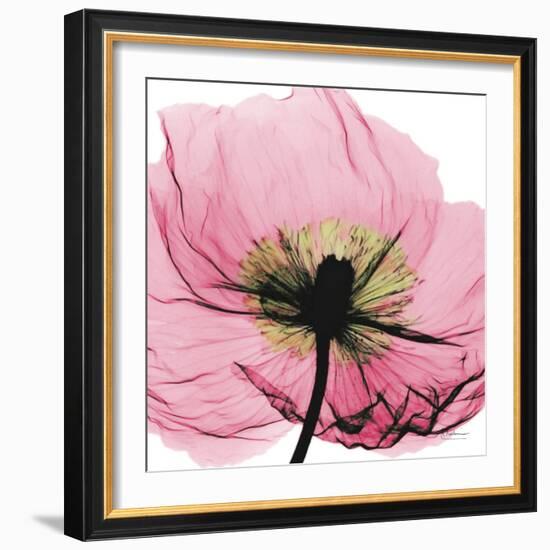 Poppy Pink-Albert Koetsier-Framed Art Print