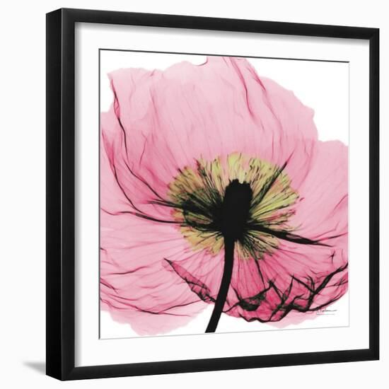 Poppy Pink-Albert Koetsier-Framed Premium Giclee Print