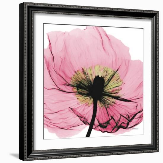 Poppy Pink-Albert Koetsier-Framed Premium Giclee Print