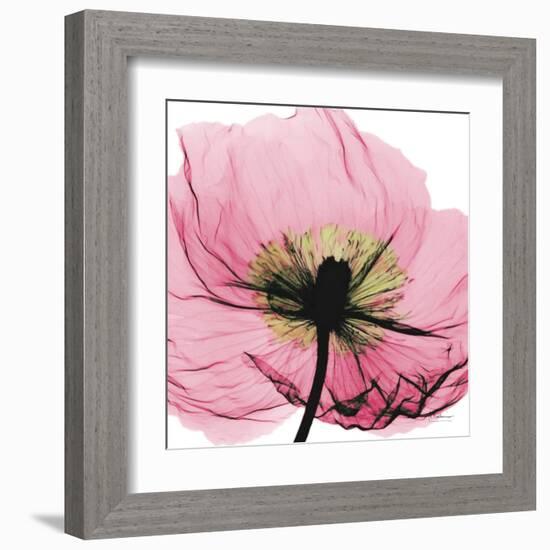 Poppy Pink-Albert Koetsier-Framed Art Print