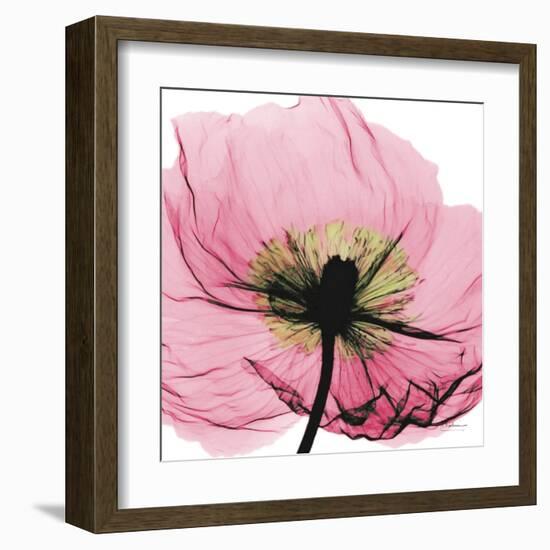 Poppy Pink-Albert Koetsier-Framed Art Print