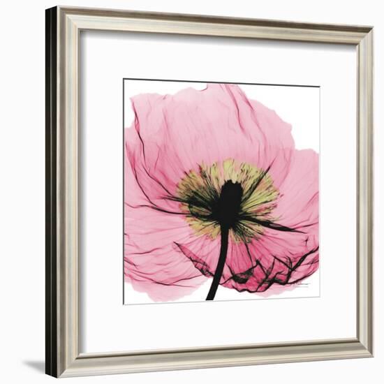 Poppy Pink-Albert Koetsier-Framed Art Print