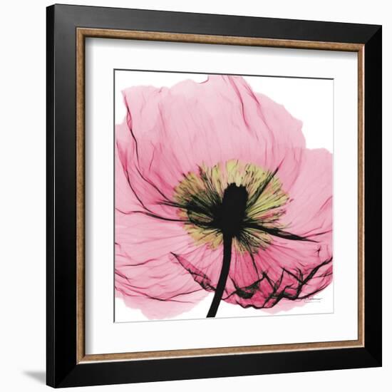 Poppy Pink-Albert Koetsier-Framed Art Print