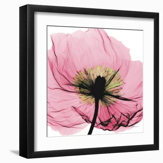 Poppy Pink-Albert Koetsier-Framed Art Print