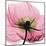 Poppy Pink-Albert Koetsier-Mounted Art Print