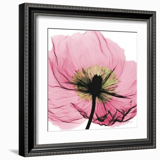 Poppy Pink-Albert Koetsier-Framed Art Print