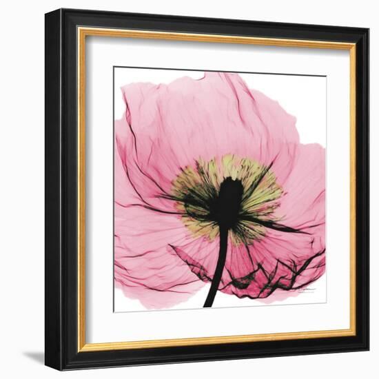 Poppy Pink-Albert Koetsier-Framed Art Print