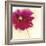 Poppy Power II-Marilyn Robertson-Framed Giclee Print