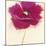 Poppy Power III-Marilyn Robertson-Mounted Giclee Print