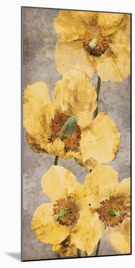 Poppy Radiance I-Tania Bello-Mounted Giclee Print