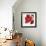 Poppy Reds 1-Smith Haynes-Framed Art Print displayed on a wall