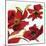 Poppy Reds 2-Smith Haynes-Mounted Art Print