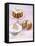 Poppy Seed Gugelhupf with Slivers of Coconut & Sugared Petals-Nikolai Buroh-Framed Premier Image Canvas