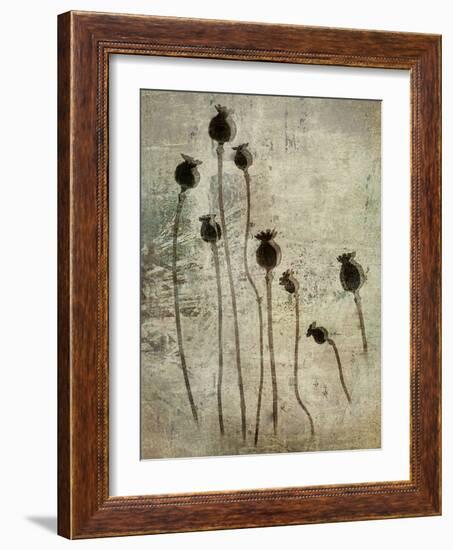 Poppy seedlings-Nel Talen-Framed Photographic Print